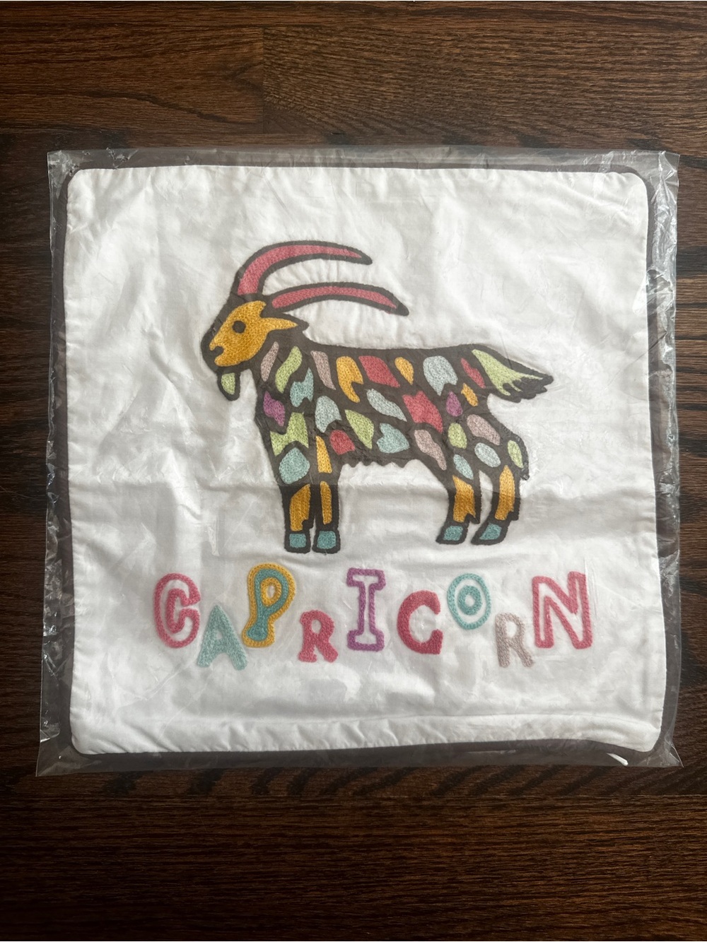 Embroidered Pottery Barn Teen Zodiac Pillow Cover—Capricorn